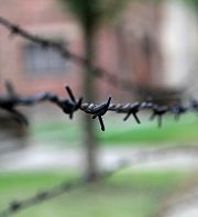 Penser après Auschwitz : la littérature au secours de la psychanalyse