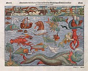 Actuel Moyen Âge – Ici sont les dragons, des cartes au code