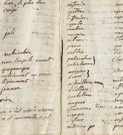 Pourquoi le français est-il difficile à écrire ? 