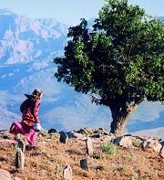 Abbas Kiarostami, cinéaste iranien moderne