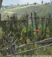 Le génocide des Tutsi par l’infanticide génocidaire