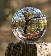 La nature existe-t-elle ? 