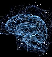Les neurosciences au service de l'apprentissage