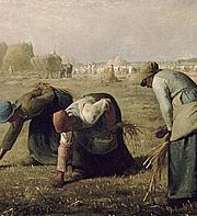 Le retour au rural : entretien avec Cécile Coulon