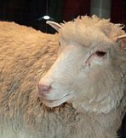 De la tératologie aux manipulations génétiques