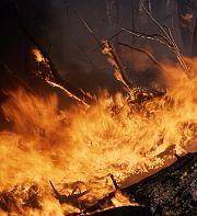 La machine à catastrophes