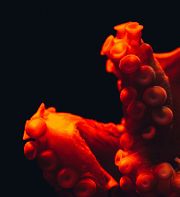 Une fresque queer de l'addiction et de la résilience