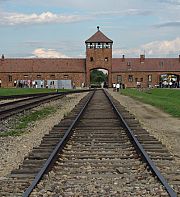 Auschwitz, 80 ans après 