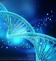 Les enjeux éthiques de la génétique