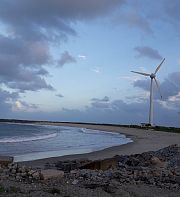 Être ou ne pas être écologiste : telle n’est plus la question 