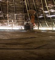 Ayahuasca : carnets d’une expérience de terrain