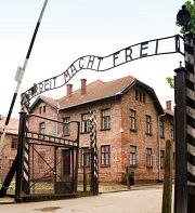 Lucie Adelsberger écrit de « manière concise et juste » sur Auschwitz
