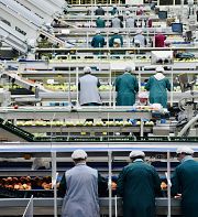 Définir l'exploitation : entretien avec Ulysse Lojkine