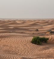 Cinquante nuances de désert