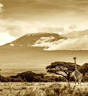 Les fantasmes réciproques de l'Afrique et l'Occident