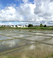 Saint-Nazaire au travail : artisans de la mer