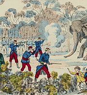 Le calvaire des animaux : Paris, 1870-1871