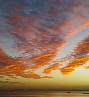 Hajar Bali : la beauté de l’Algérie qui s’éveille
