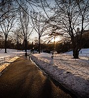 Philippe Forest : un conte d’hiver et de mélancolie