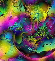 Aux frontières de la conscience