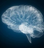 Réflexion philosophique sur les sciences du cerveau et leurs limites