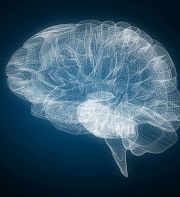 Rflexion philosophique sur les sciences du cerveau et leurs limites