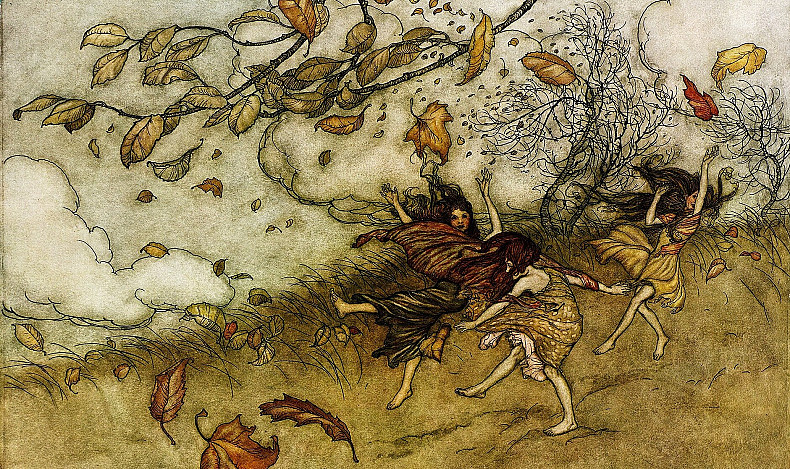 Philippe Forest : tout sur Peter Pan