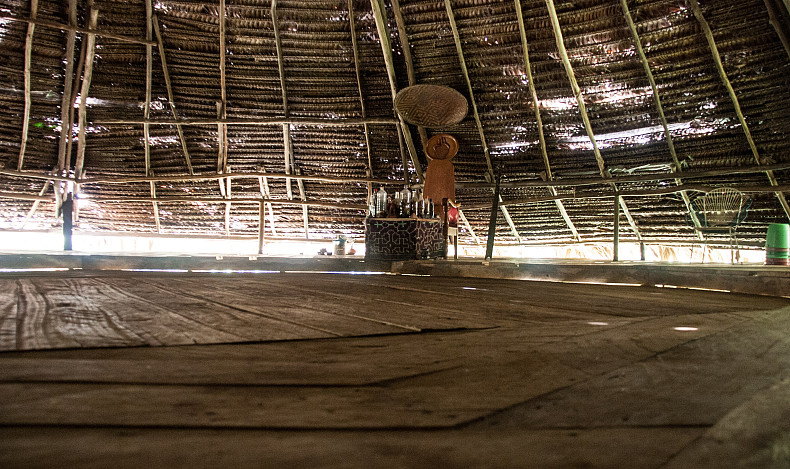 Ayahuasca : carnets d’une expérience de terrain