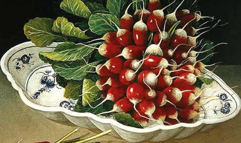 Végétariens d’hier, d’aujourd’hui et de demain