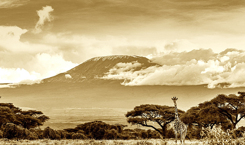 Les fantasmes réciproques de l'Afrique et l'Occident