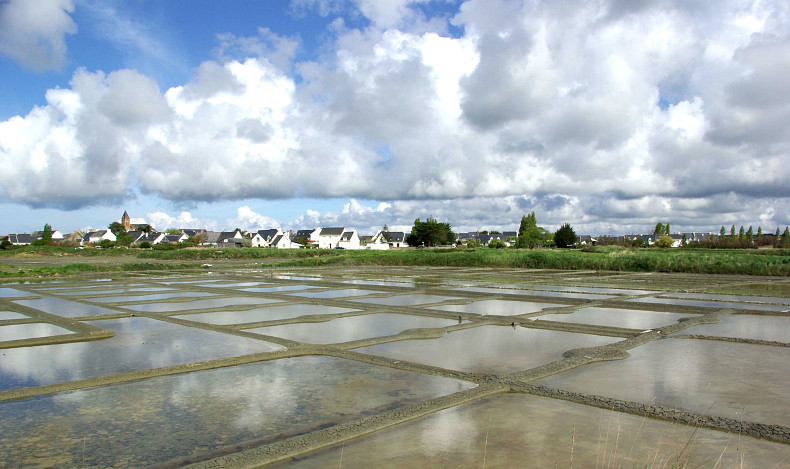 Saint-Nazaire au travail : artisans de la mer