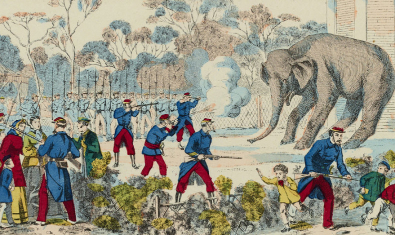 Capitale animale. Les bêtes de Paris et la guerre de 1870