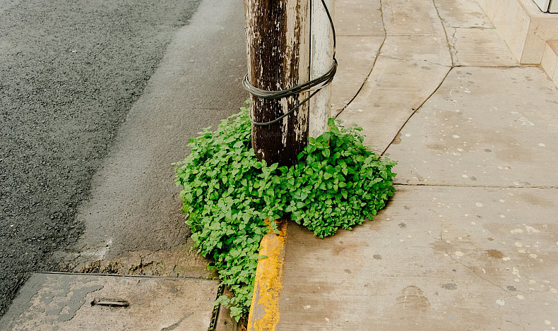 L’urbanité face aux crises contemporaines