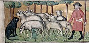 Actuel Moyen �ge - Comment les moutons ont mang� l'Espagne