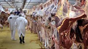 Ethique animale et consommation carne