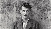 Wittgenstein : une conception du langage