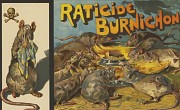  Mort aux rats  ! La ville et ses nuisibles au XIXe sicle