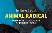 Histoire et sociologie de lantispcisme