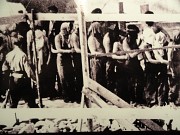 Ponary ou l'extermination des Juifs lituaniens par leurs voisins