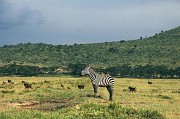 Enfants surdous : au pays des zbres et des nes