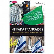 Sur l'importation du conflit israélo-palestinien en France