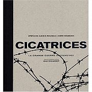 Les cicatrices de la Grande Guerre