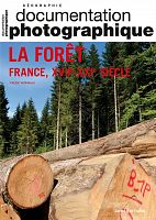 La forêt française, une gestion séculaire