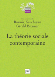 Social theory : une introduction