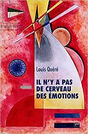 Non, le cerveau n’a pas d’émotion