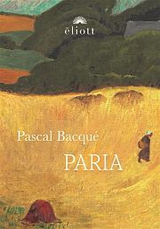 Pascal Bacqué : l’épopée d’un monde en ruines