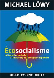 L'écosocialisme, un nouvel horizon