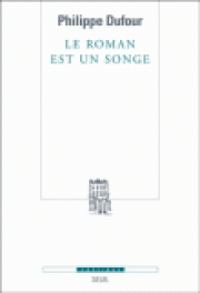 Comment le roman donne à penser ?