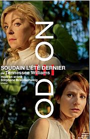 THTRE   Soudain l't dernier ,  l'Odon, par Stphane Braunschweig