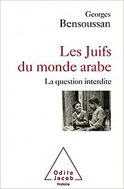 Les judéophobies françaises, au-delà de l’antisionisme